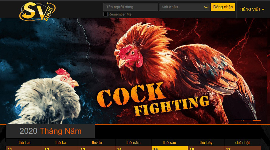 Top 5 trang web cá cược đá gà uy tín bậc nhất hiện nay 7 Top 2: Nhà cái đá gà SV388