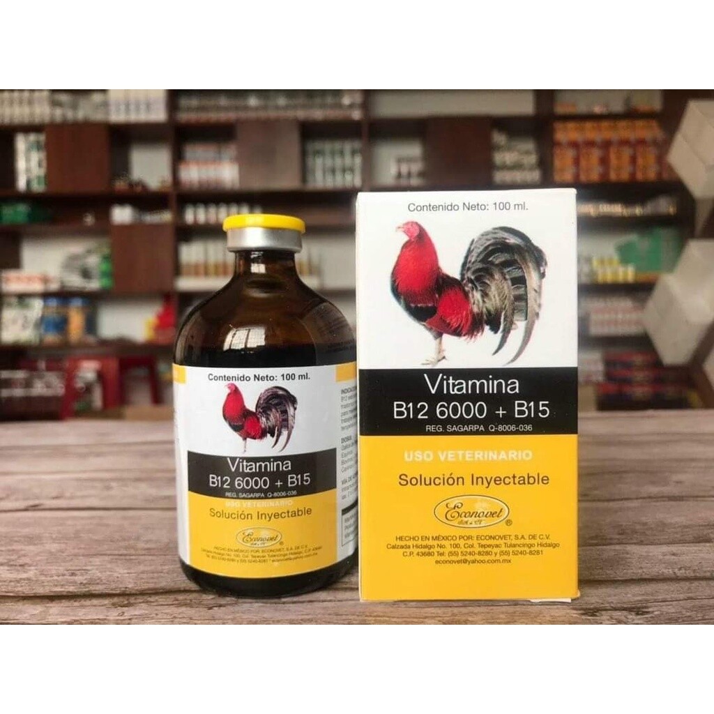 Tổng hợp các loại thuốc tăng bo cho gà đá hiệu quả 6 Thuốc tăng lực B12 6000 cho gà đá hiện nay được nhiều người lựa chọn