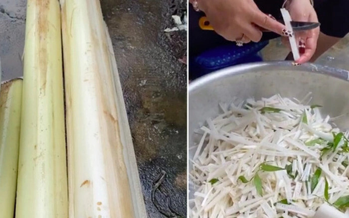 Gà ăn thân cây chuối - Chia sẻ cách cho gà ăn đúng cách 9 Một số lưu ý quan trọng trong quá trình cho gà ăn thân cây chuối