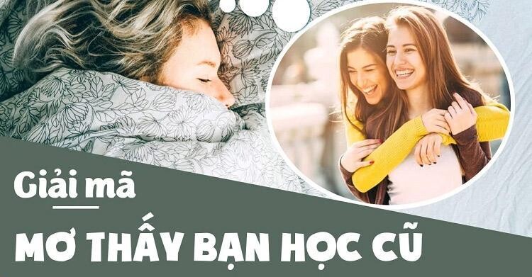 Giải đáp nằm mơ thấy bạn học cũ có điềm báo gì? Quất con gì ăn to? 5 Giấc mơ thấy bạn học cũ là điềm báo gì?