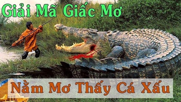 Giải mã giấc mơ: Mơ thấy cá sấu đánh con gì dễ dàng trúng lớn? 6 Mơ thấy một con cá sấu đánh con gì?